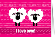 Valentine’s Day I Love You, Ewe, Card