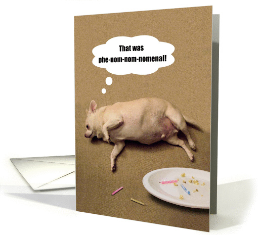 Phenomenal Birthday Humorous Chubby Chihuahua card (911802)