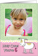 Holy Cow You’re 6 Birthday Customizable Photo Card