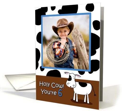 Holy Cow You're 6 Cowhide BirthdayPhoto card (912969)