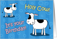 Holy Cow It’s Your Birthday Funny Holstein Card