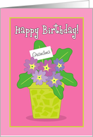 Happy Birthday Grandma Purple Violets Card