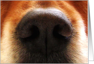 Birthday, I Smell Cake! Card