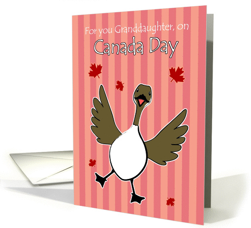 Canada Day, Granddaughter, Happy Canadian Goose Maple Leaf card