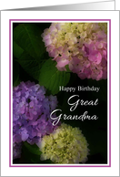 Happy Birthday Great Grandma, Pretty Hydrangia Card