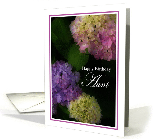 Happy Birthday Aunt, Pretty Hydrangia card (935414)