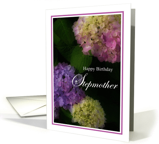 Happy Birthday Stepmother, Pretty Hydrangia card (935415)