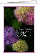 Happy Birthday Nana, Pretty Hydrangia Card