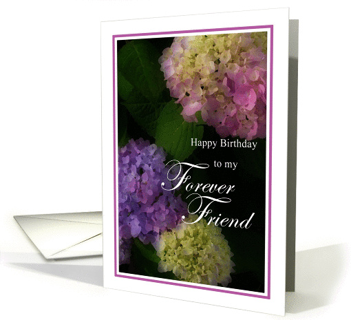 Happy Birthday Forever Friend, Pretty Hydrangia card (935420)