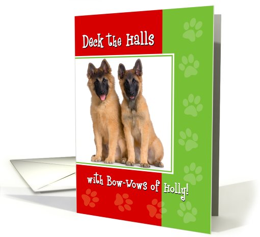 Deck the Halls, Customizable Christmas Photo card (952615)