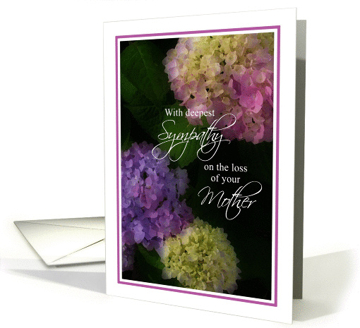 Deepest Sympathy Loss of Mother, Painted Hydrangea Flowers card