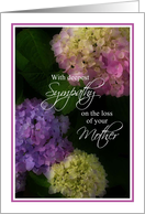 Deepest Sympathy Loss of Mother, Painted Hydrangea Flowers card