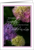 Sympathy, Loss of Brother-in-Law, Painted Hydrangea Flowers card