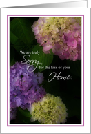 Sorry for Loss of Home, Lovely Painted Hydrangea Flowers card
