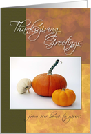Thanksgiving Greetings, From Our Home to Yours, Tiny Pumpkins card