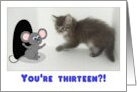 You’re Thirteen?! That’s Like a Kitten in Feline Years! card