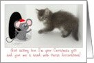 Humorous Christmas Mouse and Kitten - Decorating for the Holidays card