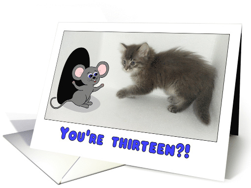 You're Thirteen?! That's Like a Kitten in Feline Years! card (840371)