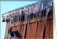 icycles card