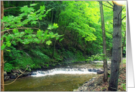creek card