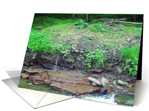 creek card (823217)