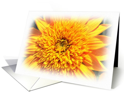 Golden Flower Blank Note card (823813)