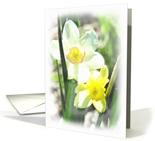Daffodil Blank Note card (823817)