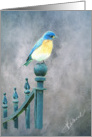 Blue Bird Blank Note Card