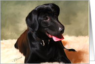 Black Lab Blank Note Card