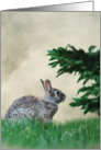 Garden Rabbit Blank Note Card