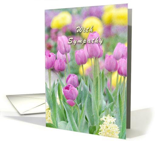 With Sympathy Pastel Tulips card (830539)