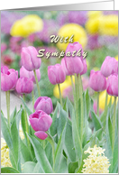 With Sympathy Pastel Tulips card