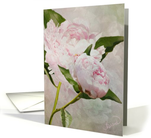 Blank Note Card Pastel Pink Peonies card (830548)