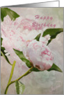 Happy Birthday Pastel Pink Peonies card
