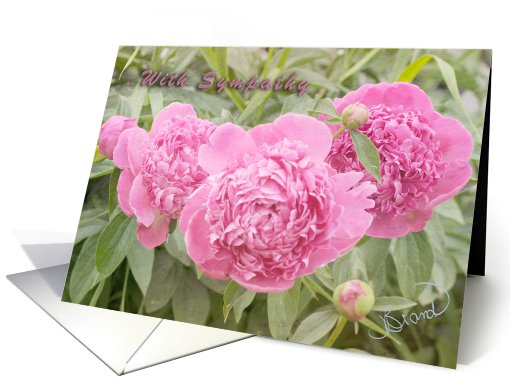 With Sympathy Three Pink Peonies card (830564)