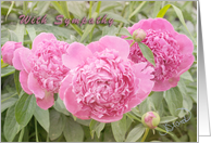 With Sympathy Three Pink Peonies card