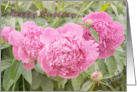 Happy Birthday Three Pink Peonies card