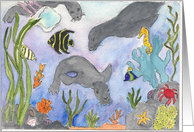 Underwater 2 card