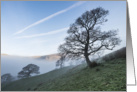 Tree on a hill on a misty morning - Blank note card for any occasion card