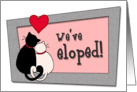 We’ve eloped! Elopement announcement, Two cats cuddling card