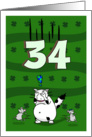 Happy 34th birthday on St. Patrick’s Day, Cat and mice card