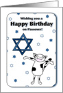 Wishing you a Happy Birthday on Passover, Cat and Star of David card
