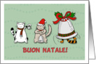 Merry Christmas General (Italian) - Cute cats play music with bells card