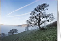 Tree on a hill on a misty morning - Blank note card for any occasion card