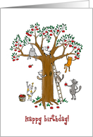 Happy Birthday - General card - Cats picking apples from tree card