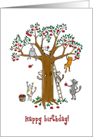 Happy Birthday for roommate - Cats climbing apple tree card