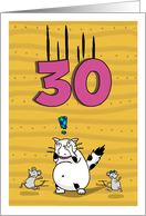Happy 30th Birthday, Not over the hill just yet, Cat and mice card