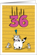 Happy 36th Birthday, Not over the hill just yet, Cat and mice card
