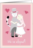 We’ve eloped! Elopement party invitation, Two cats hugging card