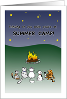 Thinking of you at summer camp, Cats sit around campfire at night card